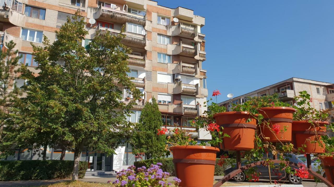 شقة ديفا  في Apartament Sorina Maria المظهر الخارجي الصورة